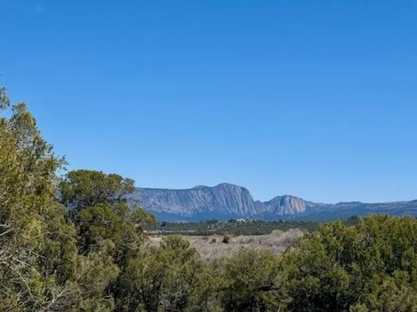 County Road 336, Los Ojos, NM 87551