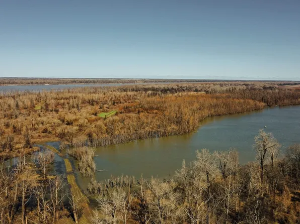 Levee Rd, Gunnison, MS 38746