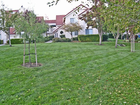 2nd image of 7219 Cronin Cir