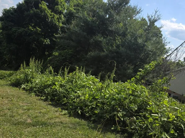 Gregory Ln, Maynardville, TN 37807