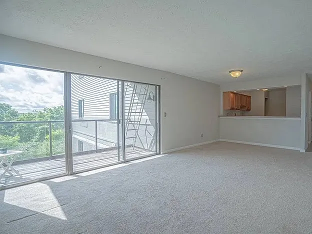 111 Winding Way — Photo 6