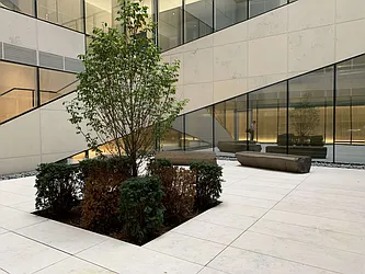 Rented by Sieber International