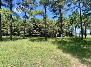 3 Eagle Rd, Lewisville, AR 71845