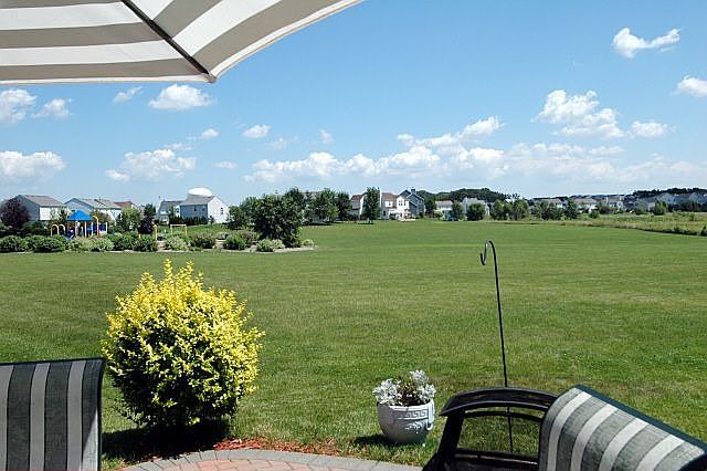 Huge "Virtual" Backyard