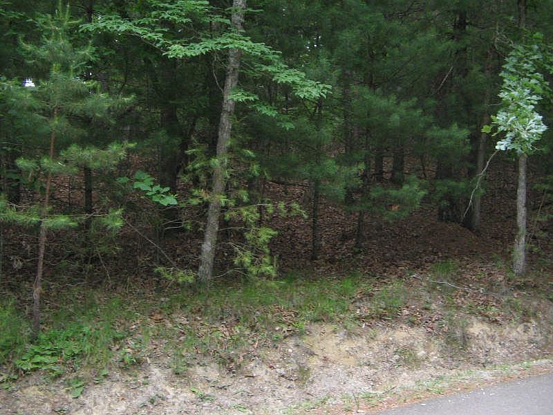 1st image of 30 Blackberry Falls Dr