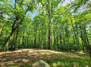 2490 Spruce Hill Dr, Farwell, MI 48622