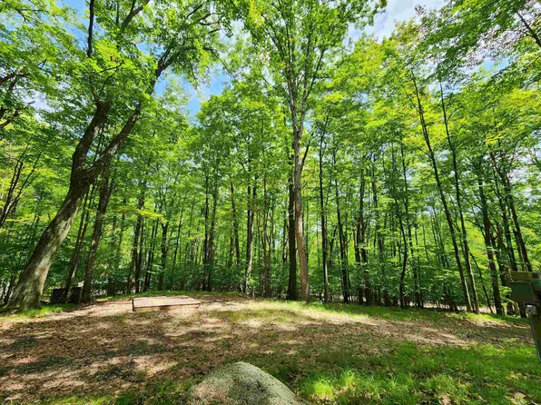 2490 Spruce Hill Dr, Farwell, MI 48622