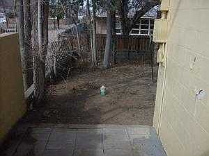 from front to back yard