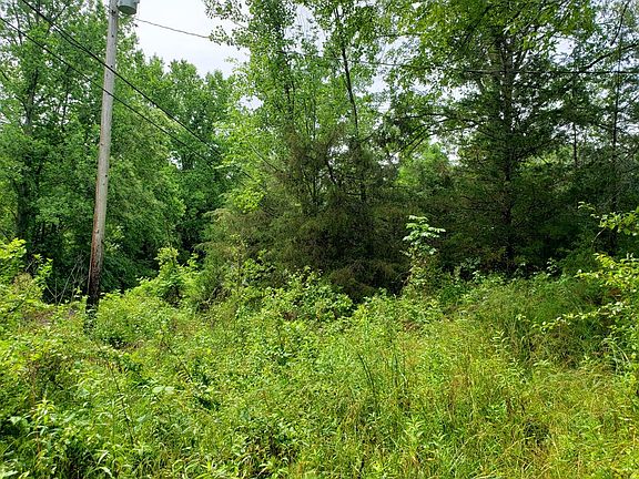 3rd image of 842 Dave England Rd