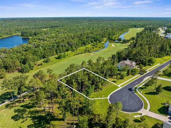 20118 English Walnut Pl #31, Brooksville, FL 34601