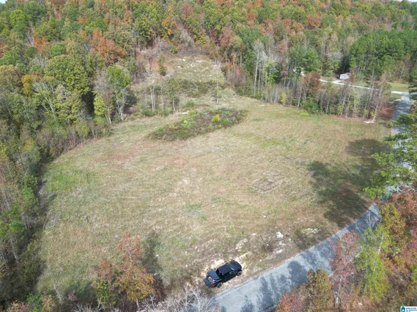 0 Mill Branch Rd #0, Jacksonville, AL 36265