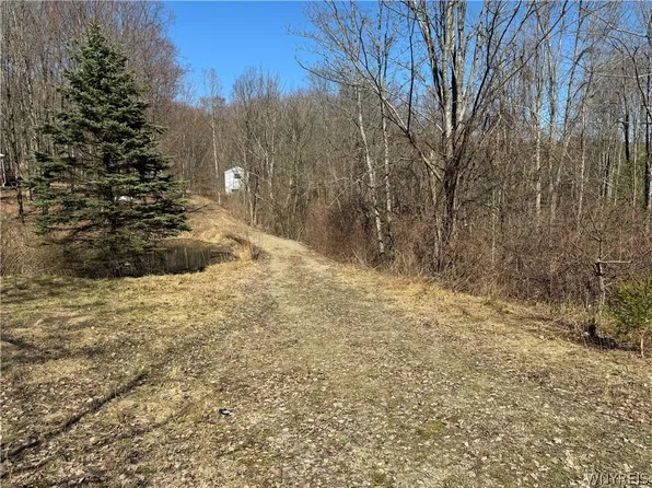 8134 Meacham Hill Rd, Salamanca, NY 14779