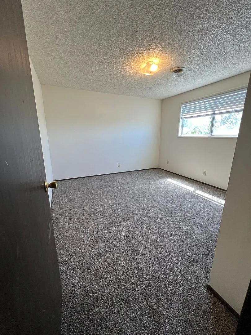 2 Bedroom, 1 Bathroom Upstairs Apartment in the South Suburbs! — Photo 3