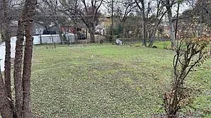 Picture 28