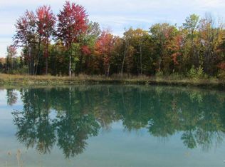 6000 S Raucholz Rd, Saint charles, MI 48655