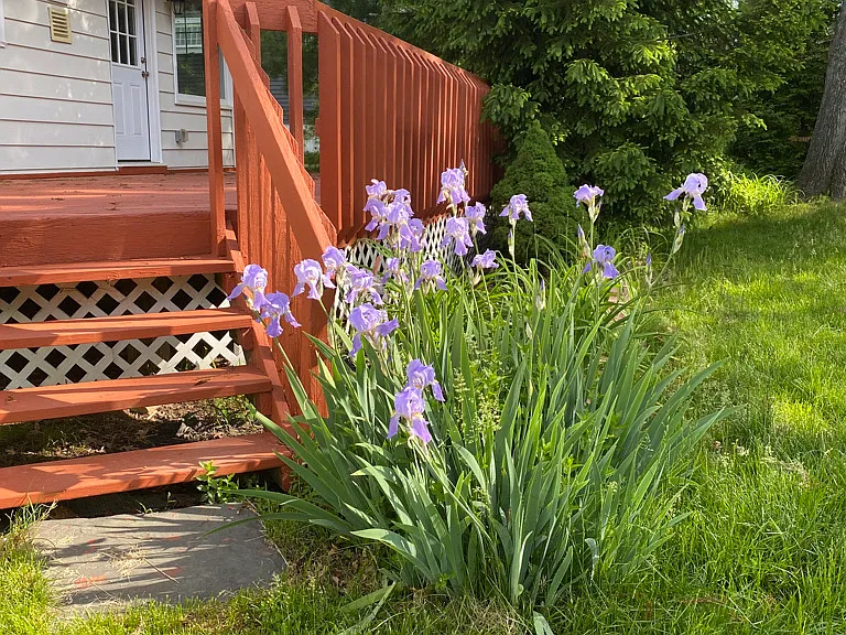 28 Aspen Rd — Photo 25