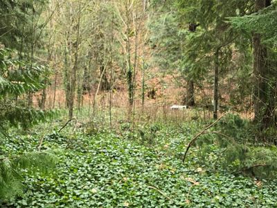 7884 Santa Fe Trail, Maple Falls, WA, 98266