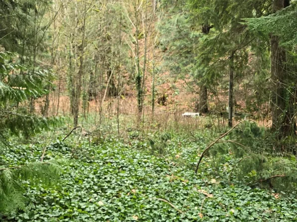 7884 Santa Fe Trail, Maple Falls, WA 98266