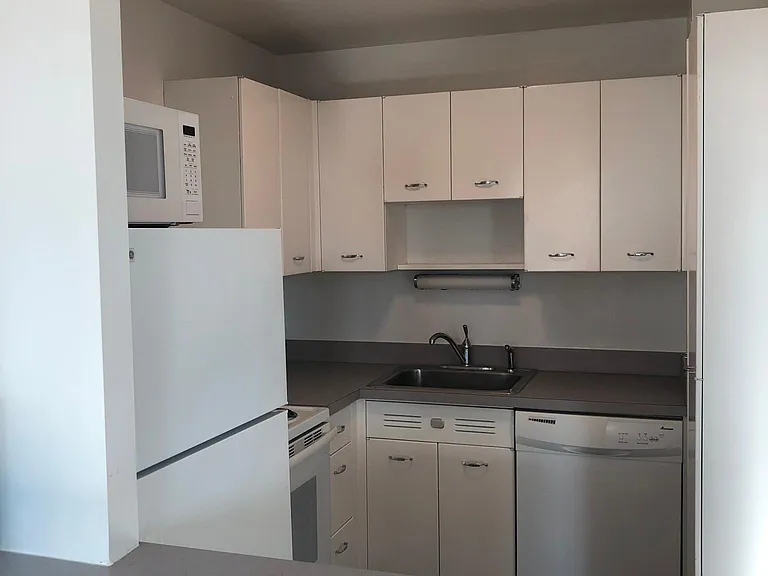 1255 N Sandburg Ter #2108 — Photo 5
