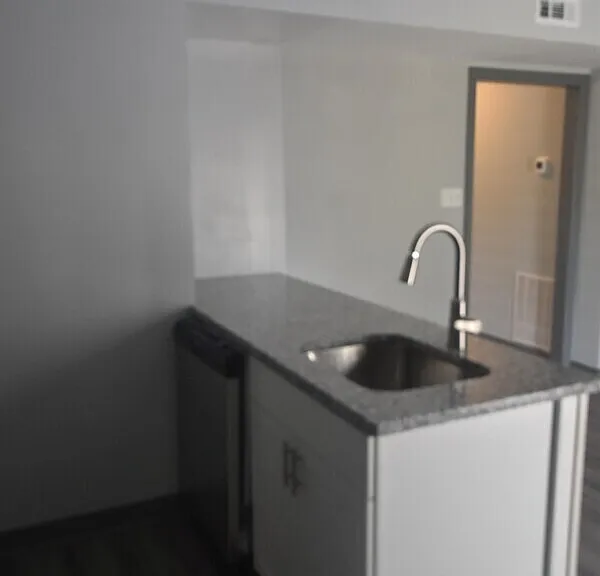 1317 Dance St — Photo 13