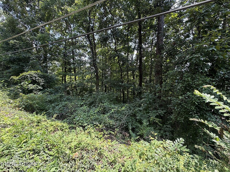 1st image of 4636 Westover Ter SE