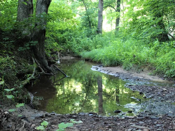 Hollow Poplar Rd Lot Wp001, West Liberty, KY 41472