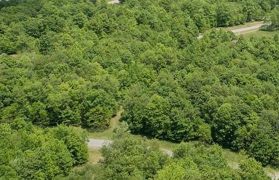 5th image of LOT 81 Sundance Way