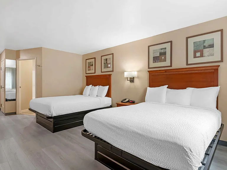 Studio Suite - 2 Queen Beds