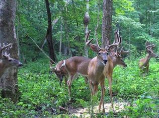 5005 E 500 S, Rockville, IN 47872