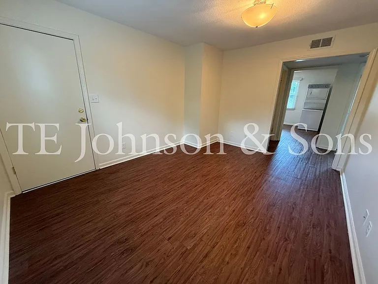 Modern 2 Bedroom Apartment with Water Included on Forsyth St — Photo 11