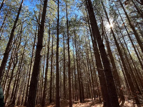 0 Lowry Rd, Columbia, VA 23038