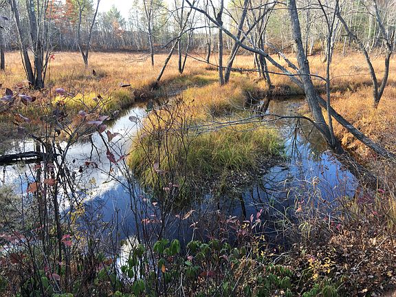 400 ft. Burnt Meadow Stream.