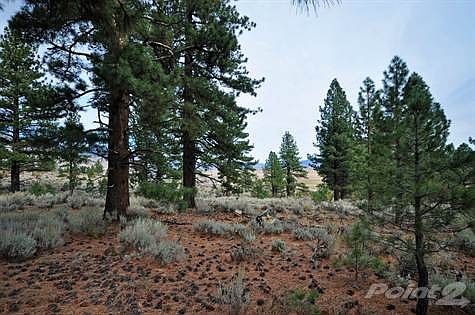 900 Stutler Creek
