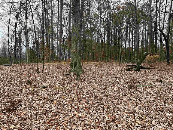 5th image of LOT 11 White Oak Cir