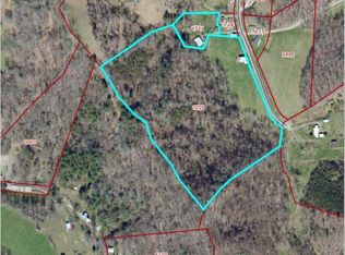 113 Mailon King Rd, Leicester, NC 28748