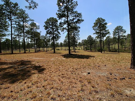 2nd image of 375 NE Pelham Trl
