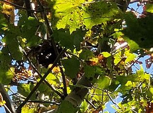 250 Cherokee Trl, Waverly Hall, GA 31831