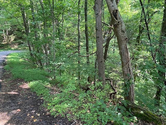 1st image of LOT 564 Silver Poplar Ln