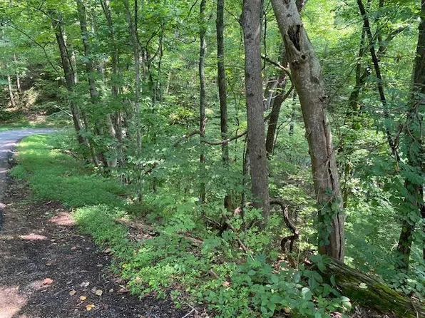 LOT 564 Silver Poplar Ln, Sevierville, TN 37876