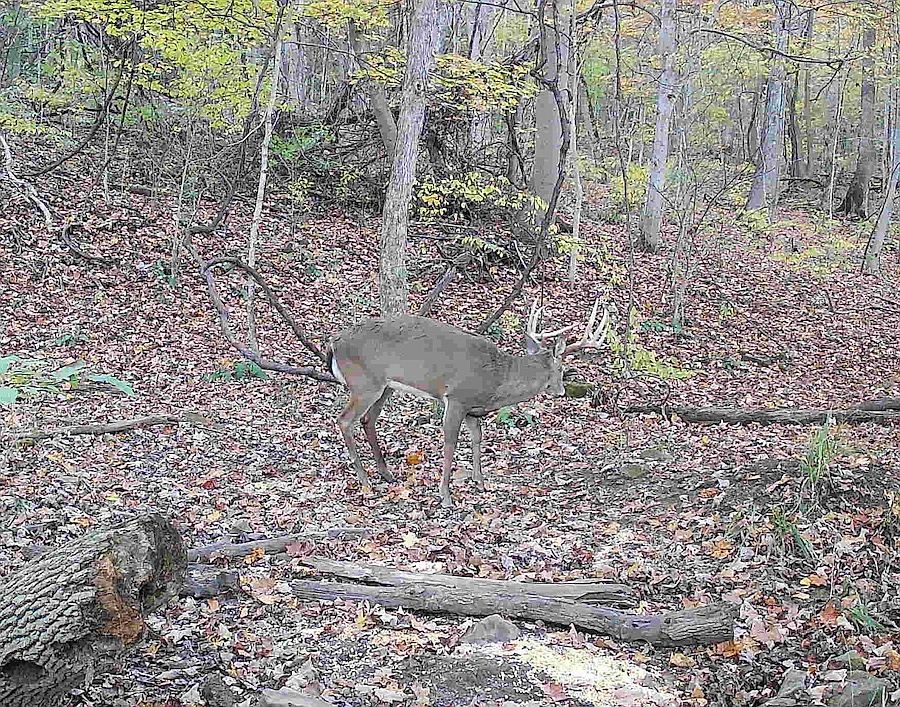 1st image of 7584 Railroad Grade Rd
