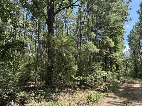 1354 County Road 2603, Shelbyville, TX 75973