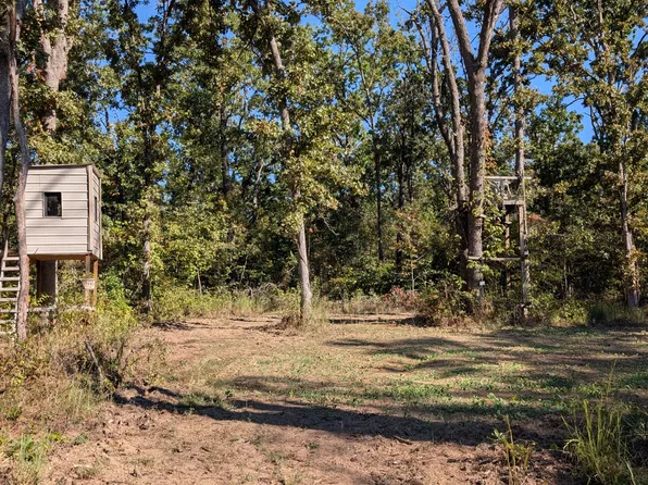 000 SE 731 Road, Collins, MO 64738