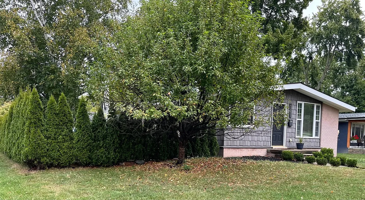 Building Photo - 43795 Park Grove Ct