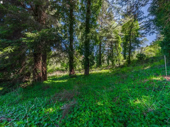 0 Cody Ln, Bandon, OR 97411