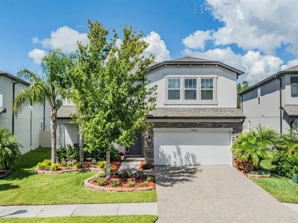 19445 Redwood Point Dr, Tampa, FL 33647