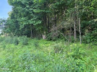 Reedy Creek Rd, Abingdon, VA 24210