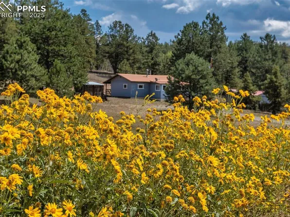 272 Spring Valley Trl, Florissant, CO 80816