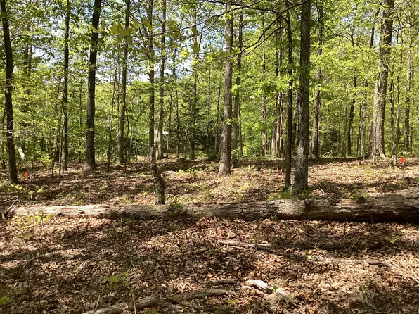 10745 Ellis Ridge Rd Lot 83, Bon Aqua, TN 37025