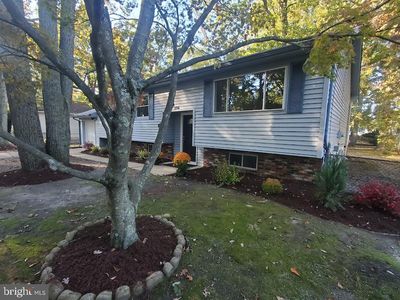 336 Pardee Blvd, Browns Mills, NJ, 08015