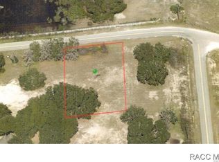 9862 E Moccasin Slough Rd, Inverness, FL 34450